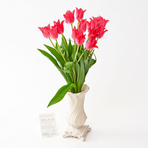 おしゃれな花の贈り物　花瓶（アンティーク　ホワイト）とチューリップ　15本花束ブーケ（赤系）
