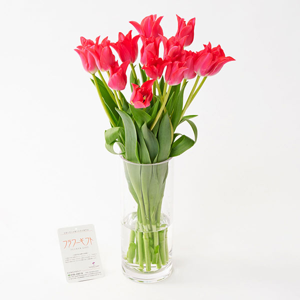 おしゃれな花の贈り物　花瓶（シリンダー　クリア）とチューリップ　15本花束ブーケ（赤系）