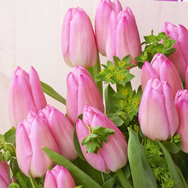 仏花　御供え花　造花　クレマチス、百合、トルコキキョウアレンジ 仏前フラワーアレンジメント 季節の花のトルコキキョウ | いば生花店