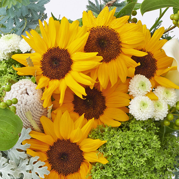 定価3.5万 Plantation ブラリーフラワーブラウス イエロー 定価3.5万 Plantation ブラリーフラワーブラウス イエロー