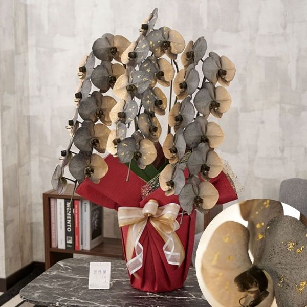 おしゃれな花の贈り物　カラー胡蝶蘭　3本立30輪　グラデーション（エンペラー）※金箔入り