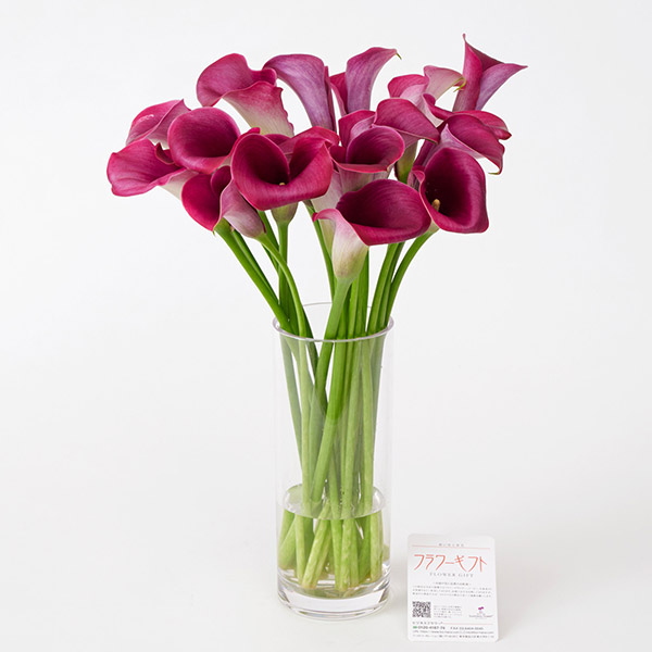 割れない花瓶と　紫カラー20本　花束ブーケ