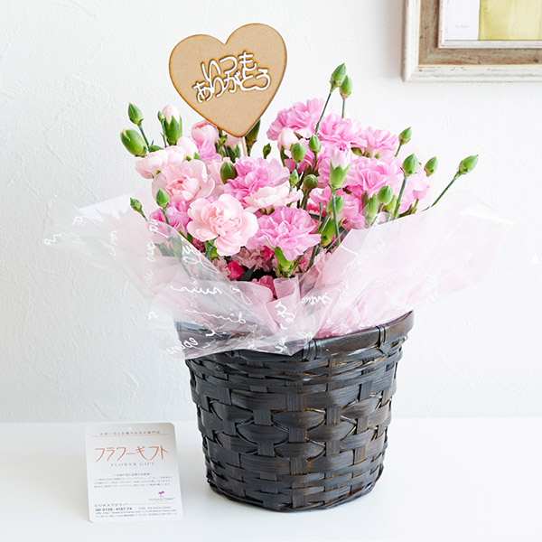 東京23区、さいたま市、川口市限定＞壇上つぼ花 和風 2万円コース