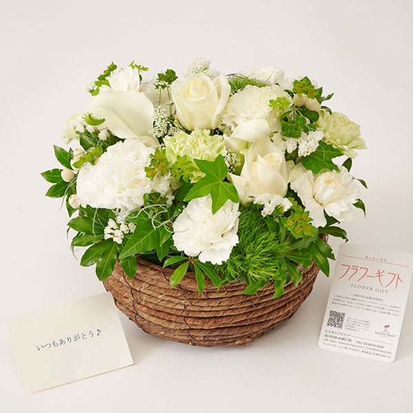 おしゃれな花の贈り物　おしゃれなお祝い用アレンジメントフラワー　白グリーン系　Mサイズ