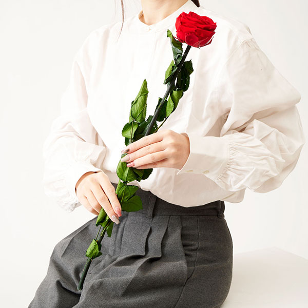 おしゃれな花の贈り物　プリザーブドフラワー　薔薇一輪（ベルベットレッド）