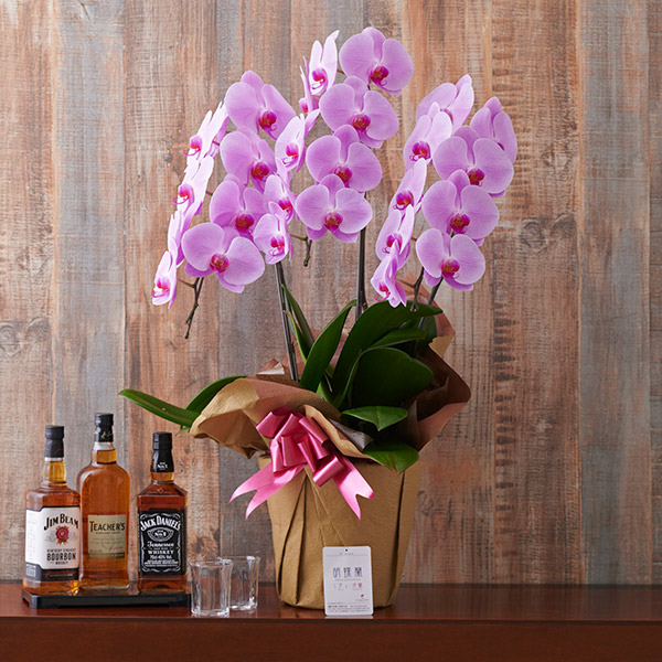 おしゃれな花の贈り物　＜1.2万円＞胡蝶蘭3本立（ピンク）24～27輪