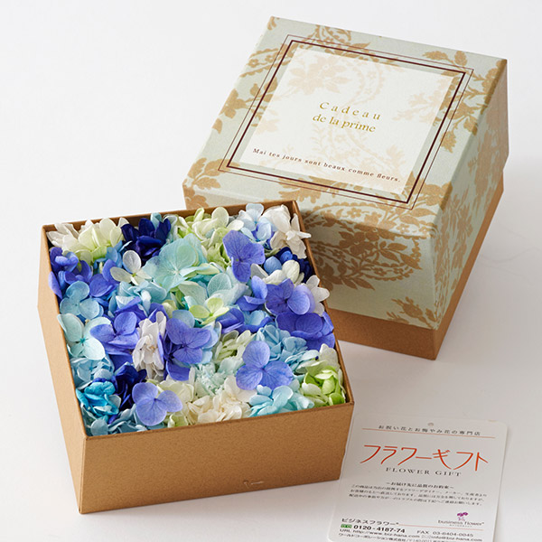 紫陽花（アジサイ）のボックスプリザーブドフラワー（ブルー）Mサイズ