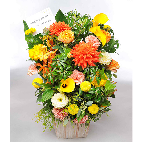 おしゃれな花の贈り物　お洒落なお祝い用アレンジメントフラワー　ビタミンカラー系　LLサイズ