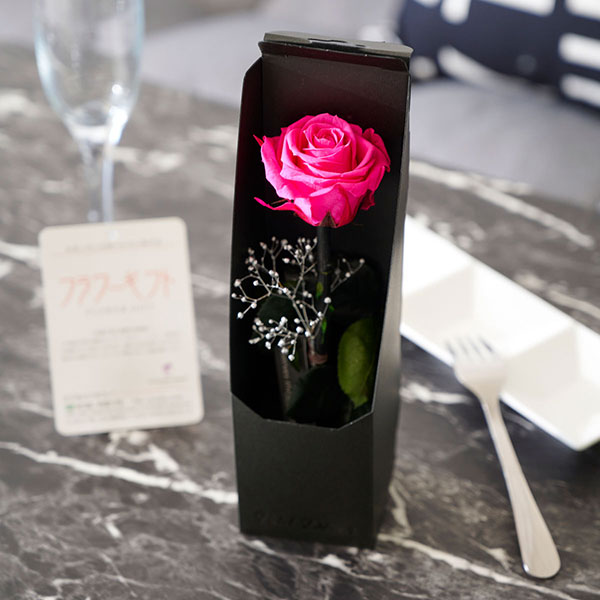 おしゃれな花の贈り物　2way（壁掛け＆スタンド）　プリザーブドフラワー　薔薇一輪　ショッキングピンク