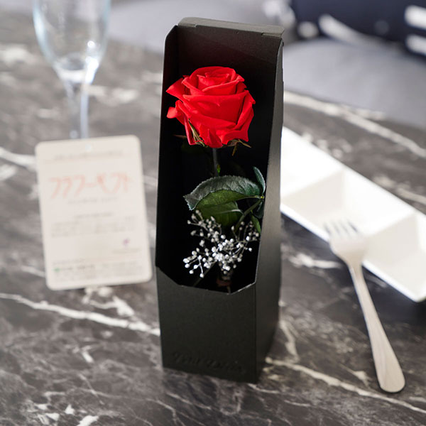 おしゃれな花の贈り物　2way（壁掛け＆スタンド）　プリザーブドフラワー　薔薇一輪　レッド