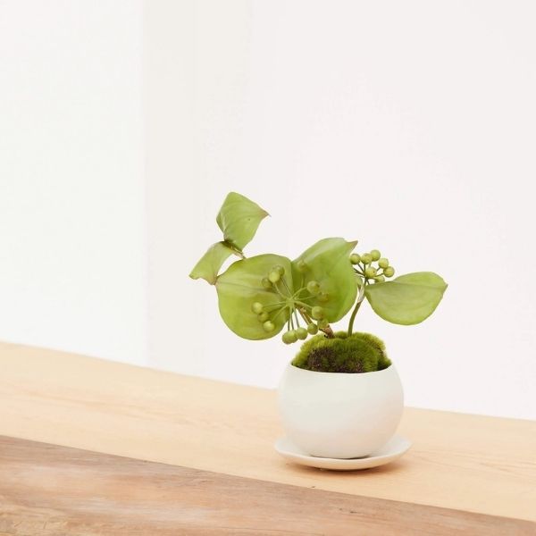 おしゃれな花の贈り物　＜造花＞盆栽　サンキライ（陶器　白鉢）