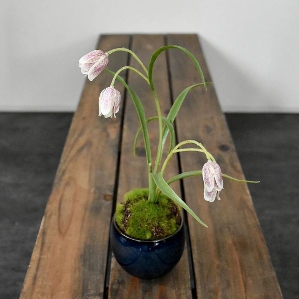 おしゃれな花の贈り物　＜造花＞盆栽　ヨウラクユリ（美濃焼鉢　藍）