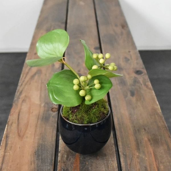 おしゃれな花の贈り物　＜造花＞盆栽　サンキライ（美濃焼鉢　藍）