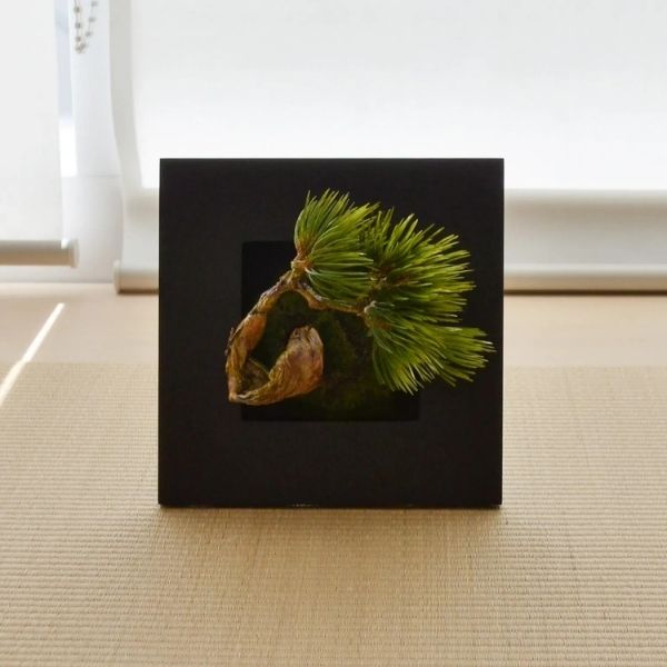 おしゃれな花の贈り物　＜造花＞壁掛けフレーム　盆栽（松吹き流し）