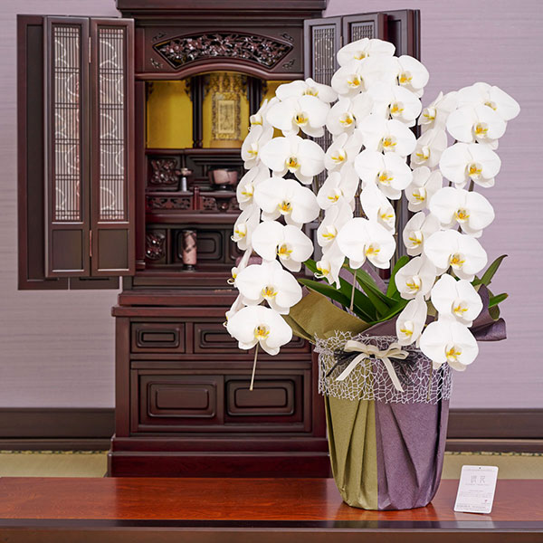 おしゃれな花の贈り物　仏花　＜こだわりラッピング　冥福＞お供え用胡蝶蘭3本立　36～39輪