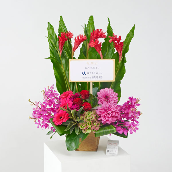 おしゃれな花の贈り物　ダリアを使用した背の高い大きなアレンジメントフラワー　赤ピンク