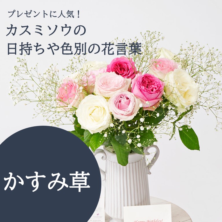 プレゼントに人気なカスミソウの日持ちや色別の花言葉