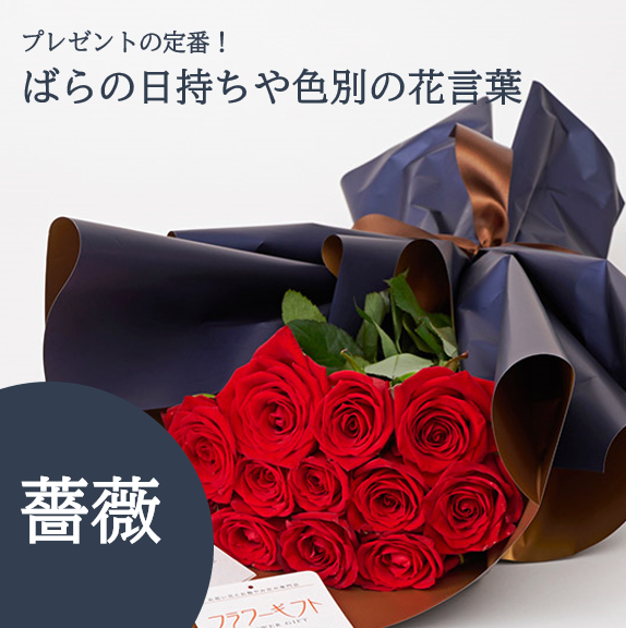 プレゼントに人気な薔薇の日持ちや色別の花言葉