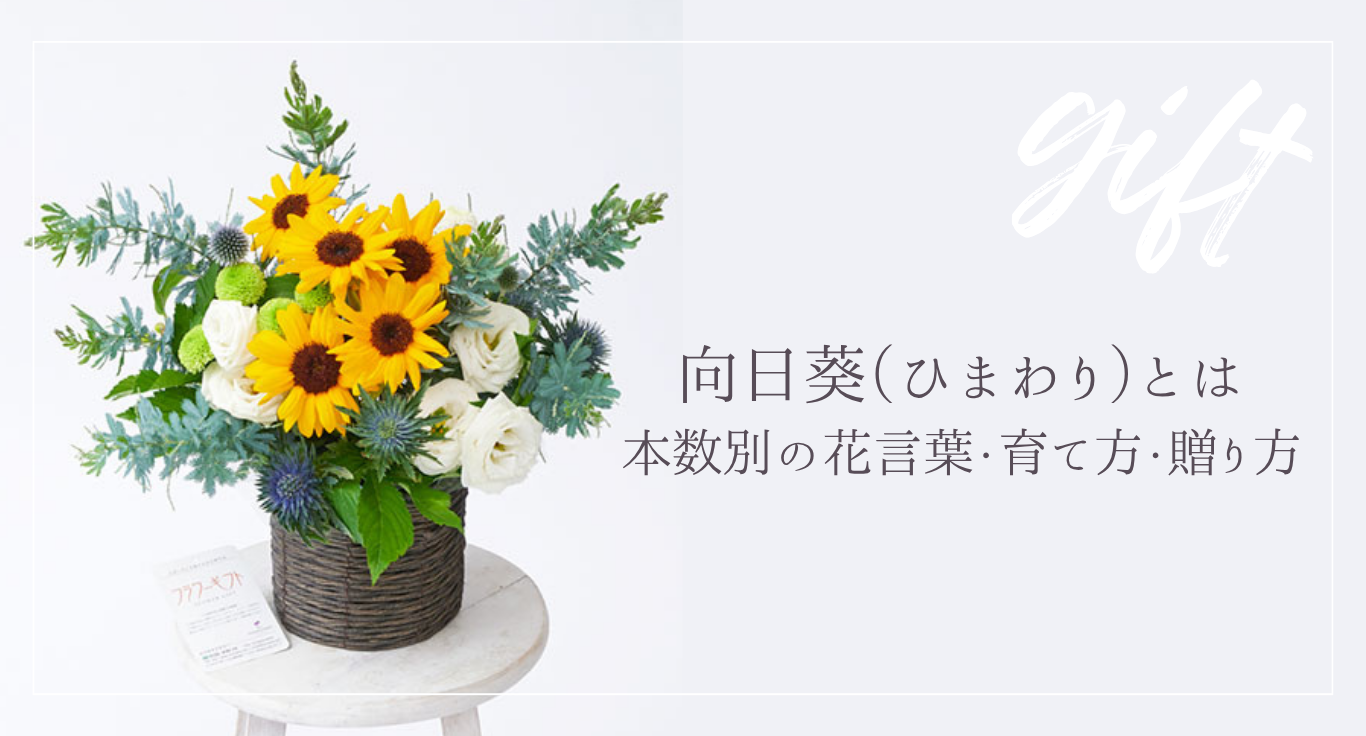 向日葵