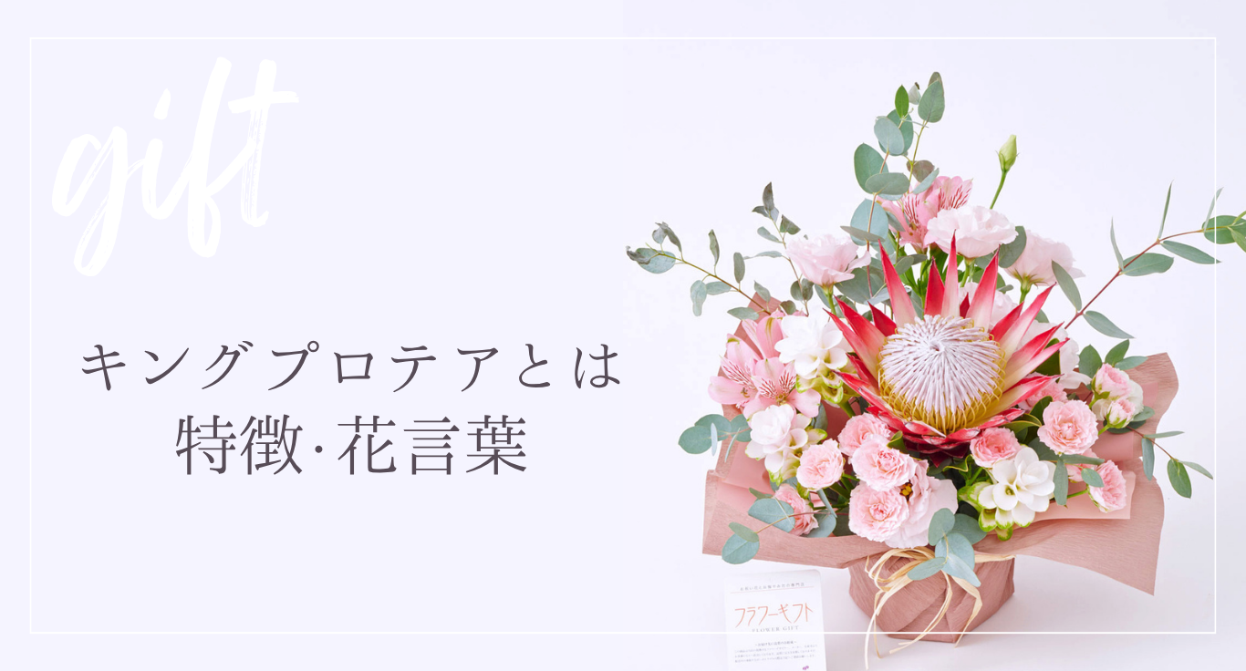 プロテアの花言葉や特徴を解説