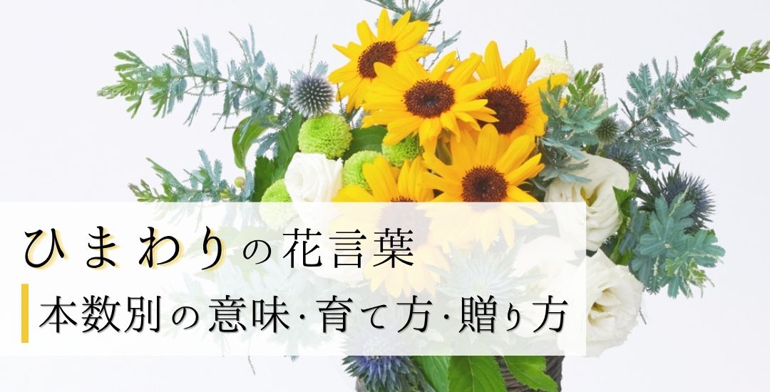 向日葵（ひまわり）の花言葉｜本数別の意味・育て方・贈り方
