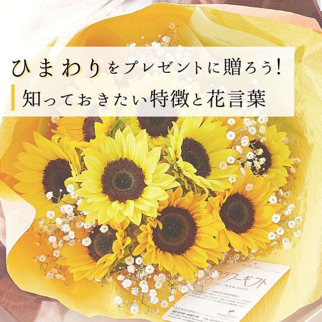 ひまわりをプレゼントに贈ろう！知っておきたい特徴と花言葉
