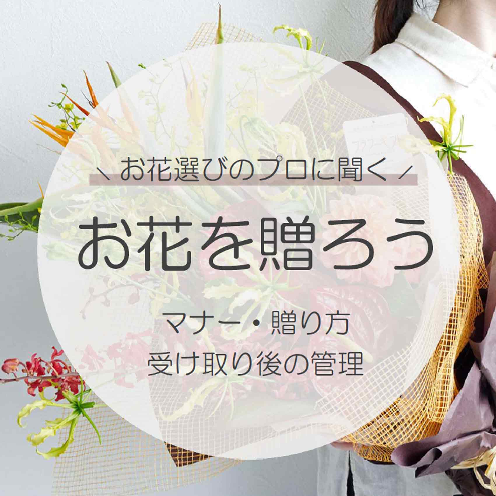 お花を贈ろう｜一般的な相場・お手入れ方法・おすすめの花ギフト