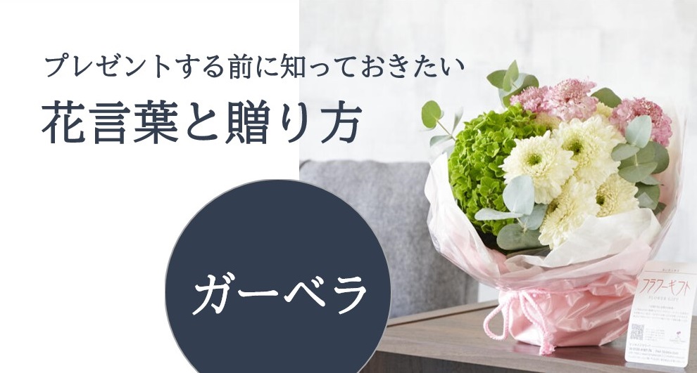 プレゼントに人気なガーベラの日持ちや色別の花言葉