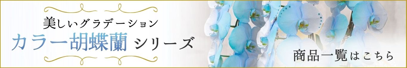 美しいグラデーション