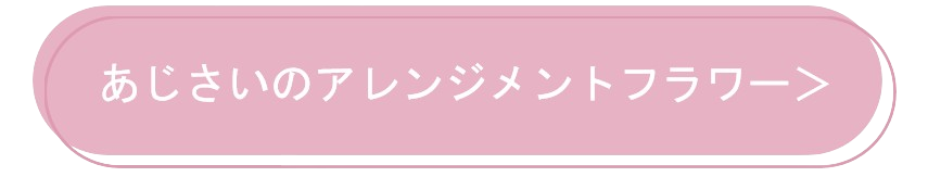 紫陽花（アジサイ）のアレンジメントフラワー商品一覧