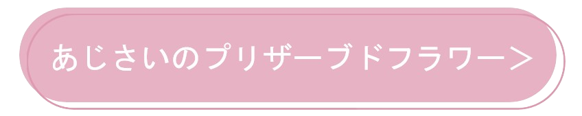 紫陽花（アジサイ）のプリザーブドフラワー商品一覧