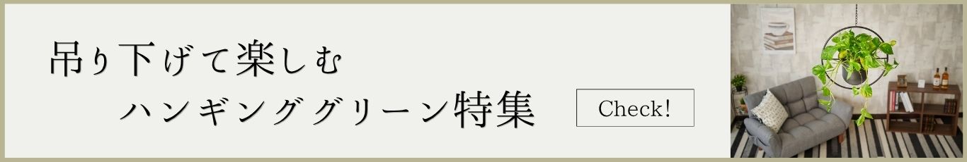 吊り下げて楽しむ ハンギンググリーン特集