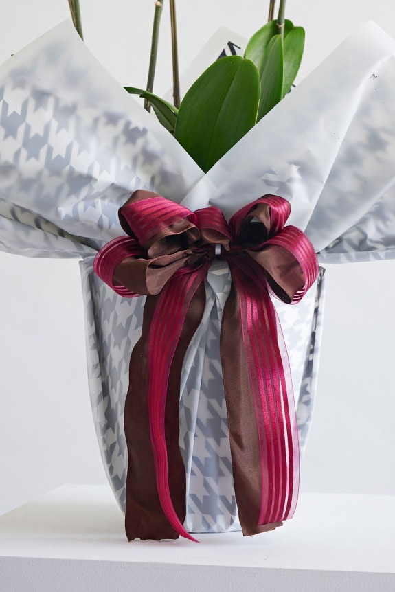 こだわりラッピング［クラシカルスタイル］