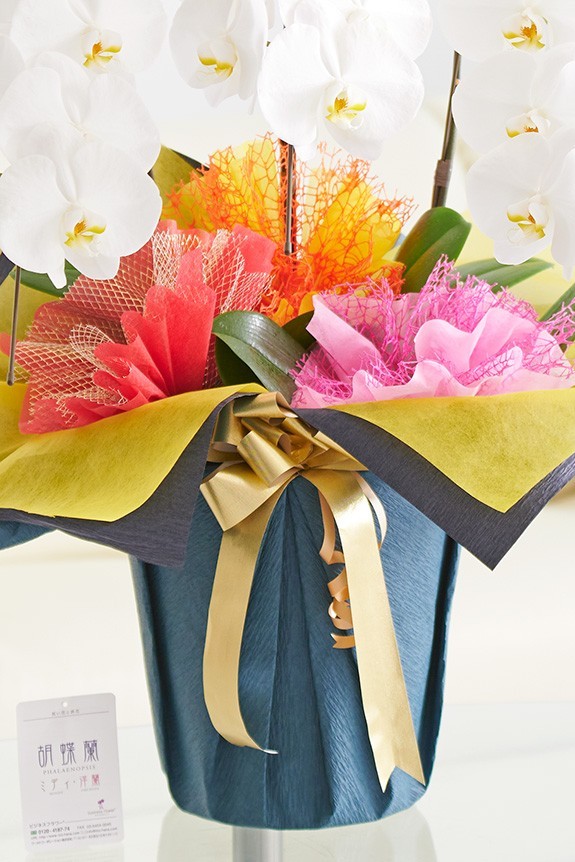 こだわりラッピング［カラフル］