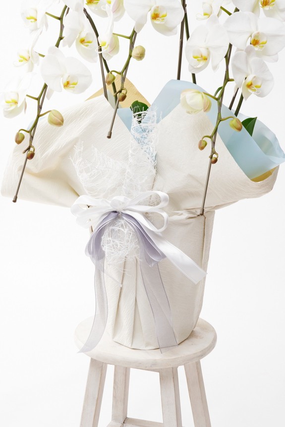 こだわりラッピング［アイシーブルー］