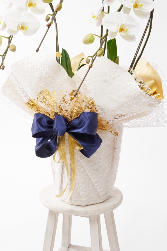 こだわりラッピング［アイビーテイスト］