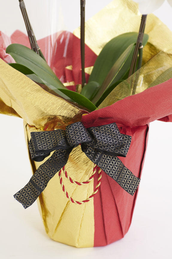 こだわりラッピング［豪華絢爛］