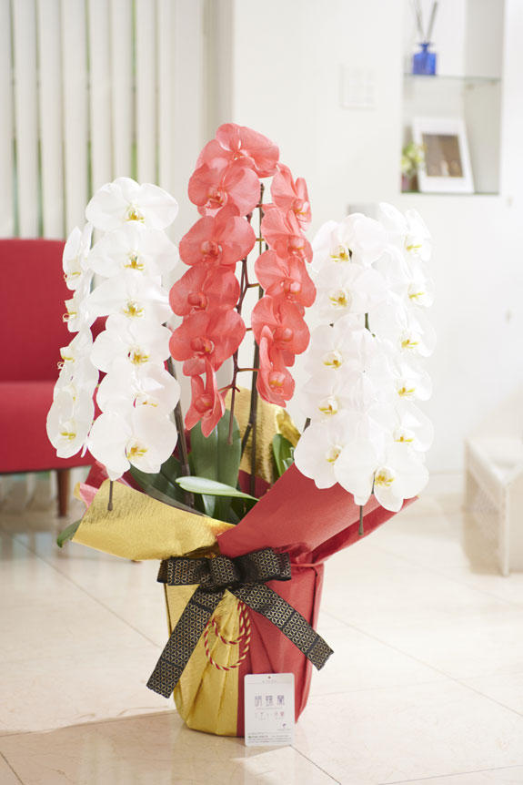 こだわりラッピング［豪華絢爛］