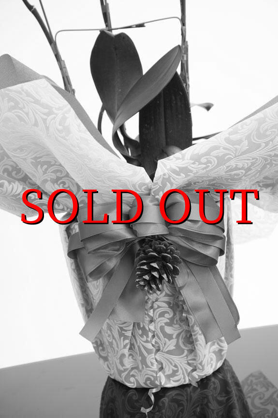 こだわりラッピング［ホーリーシンボル］