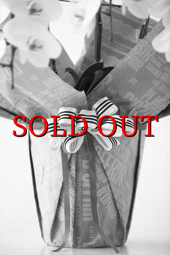 こだわりラッピング［プレジール・ドフリール］