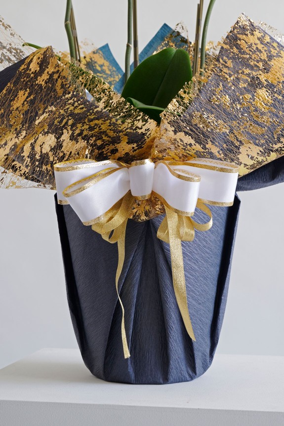 こだわりラッピング［クラッシーテイスト］