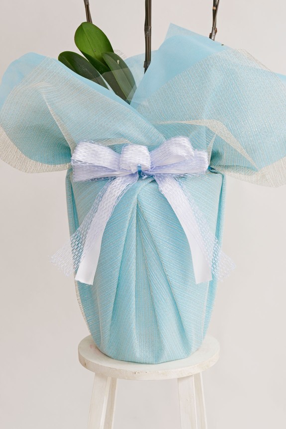 こだわりラッピング［オーモワレ］