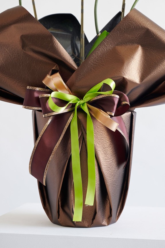 こだわりラッピング［ガトーオペラ］