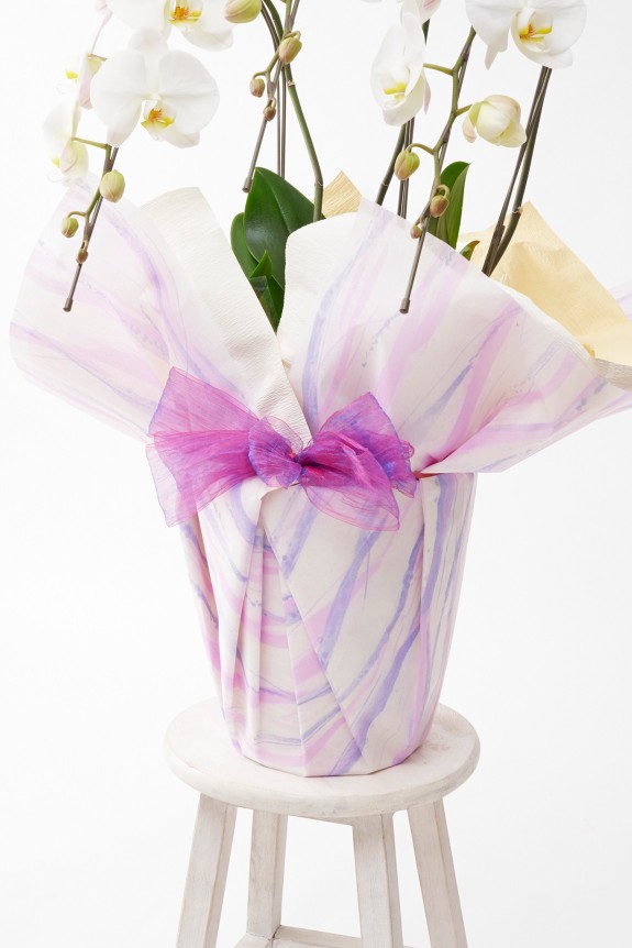 こだわりラッピング［レトロモダン］