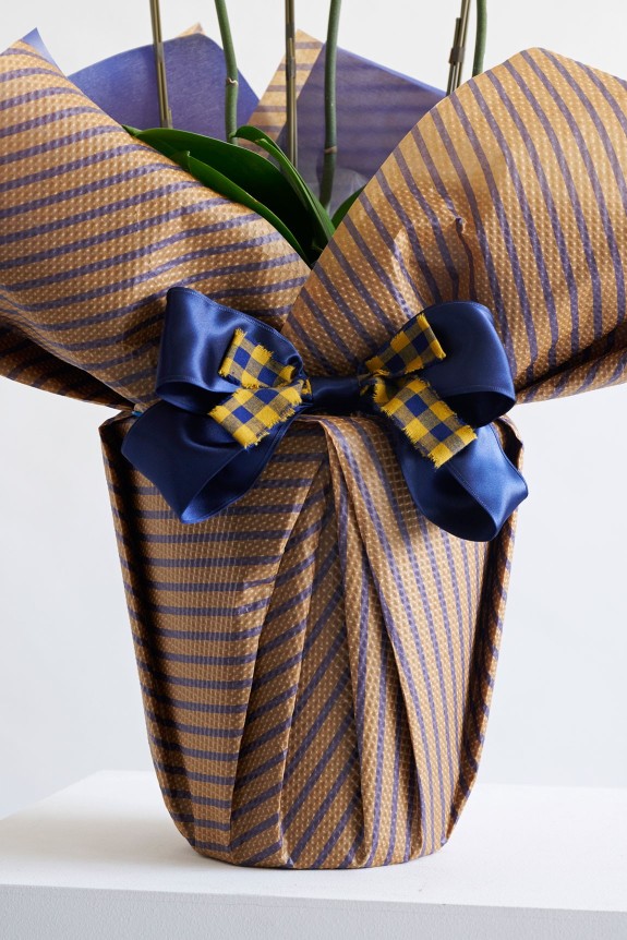 こだわりラッピング［スーツストライプ］