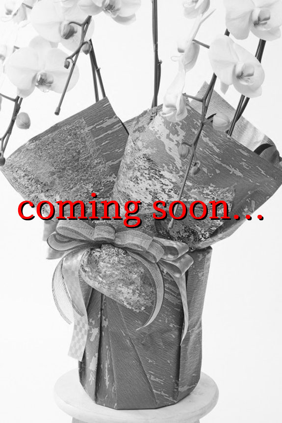 こだわりラッピング［和雅漆箔］