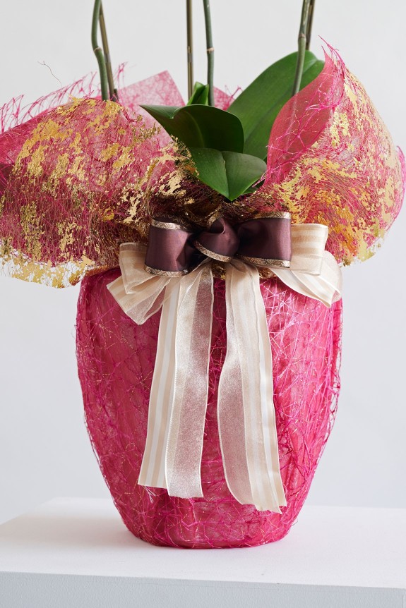 こだわりラッピング［レディッシュワイン］