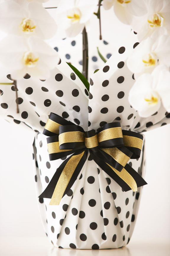 こだわりラッピング［モノトーンドット］