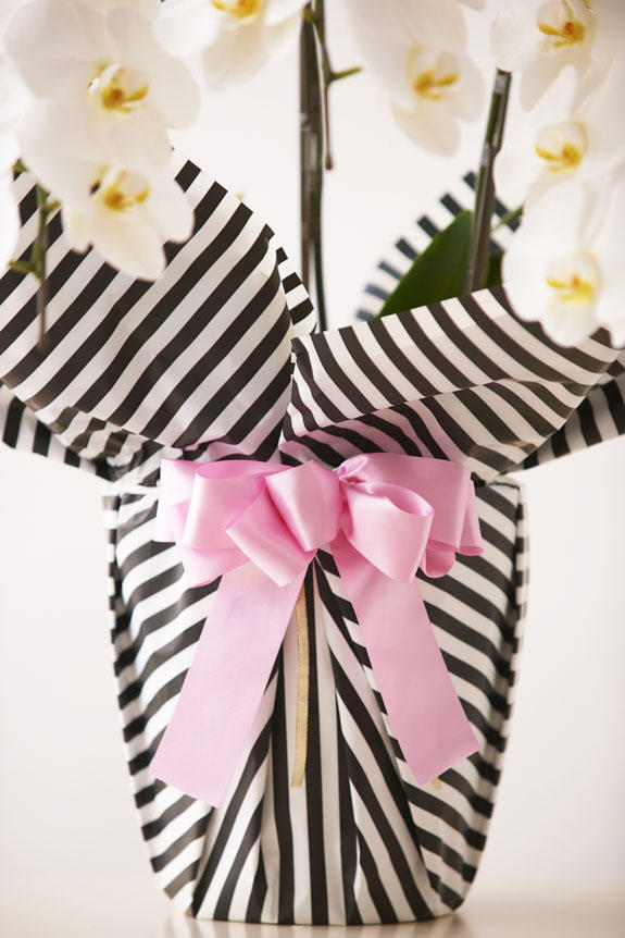 こだわりラッピング［W&Bストライプ］