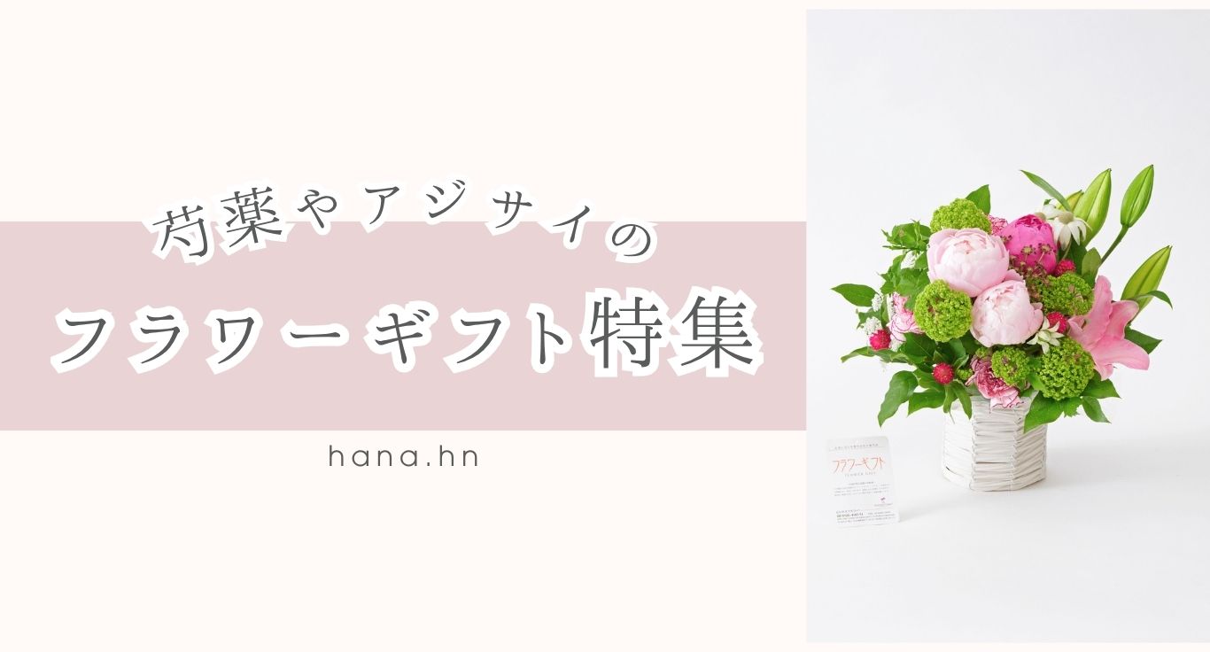 再販！芍薬やアジサイのフラワーギフト特集